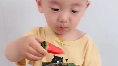瓜哥吃瓜带娃视频大全,欢乐亲子时光大盘点