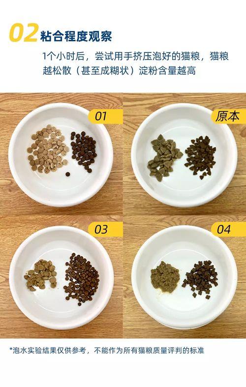 猫粮吃瓜视频,宠物饮食背后的真相