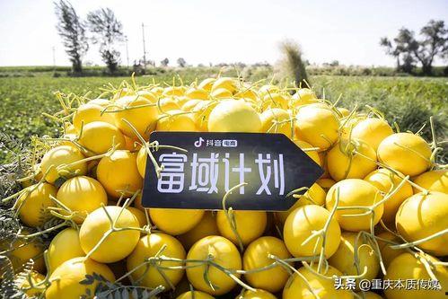 吃抖音瓜,揭秘网红幕后故事，带你走进虚拟与现实交织的娱乐圈