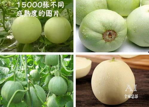 吃抖音瓜,揭秘网红幕后故事，带你走进虚拟与现实交织的娱乐圈