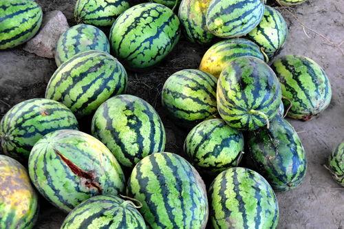 没吃懂的瓜,揭秘那些让人一头雾水的八卦传闻