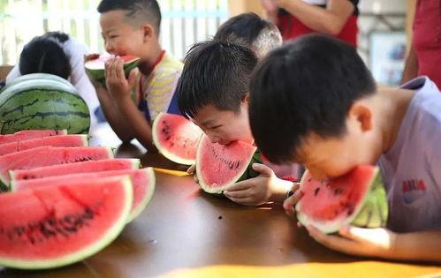 九号院吃瓜,揭秘娱乐圈背后的那些事儿