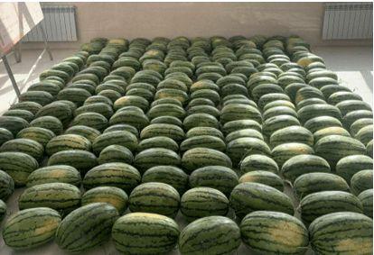 德宏吃瓜新闻,揭秘当地热点事件背后的真相