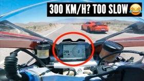 车队排队吃瓜,一场别开生面的美食盛宴