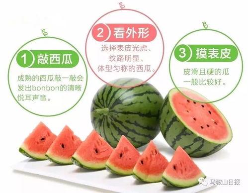 形容吃瓜群众诗句,描绘吃瓜群众的诗意画卷