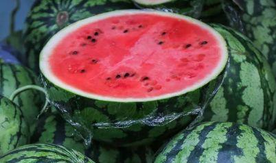 琴儿吃瓜视频大全,揭秘娱乐圈幕后故事