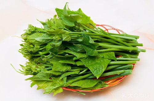 老草瓜怎样吃最好,探寻最佳食用之道