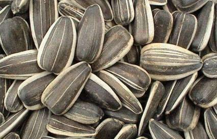 怀孕吃密瓜好吗,营养与安全并重