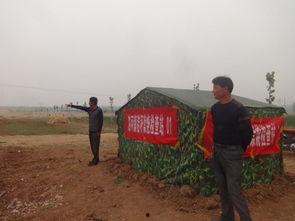 莒县洛河都在吃瓜,瓜果飘香，共享田园时光