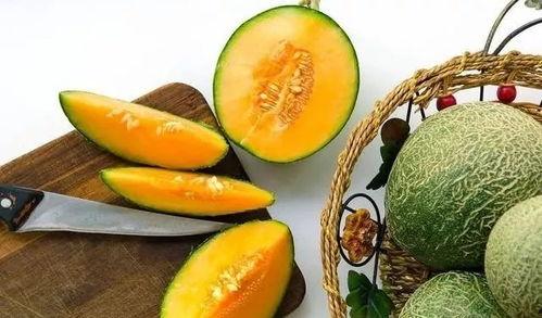 吃瓜神器甜瓜,夏日消暑的“吃瓜神器”