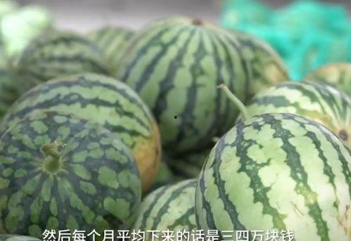 火研吃瓜员,娱乐圈背后的那些事儿