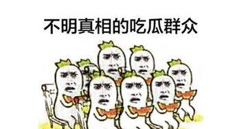 周末吃瓜群众,揭秘娱乐圈幕后故事