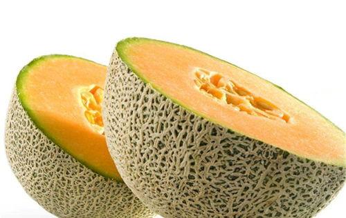 吃狗肉后可以吃哈密瓜,探寻独特饮食搭配的奥秘