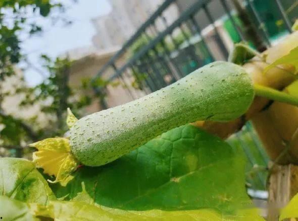 百文吃瓜,揭秘娱乐圈那些不为人知的幕后故事