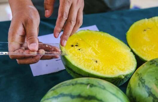 百文吃瓜,揭秘娱乐圈那些不为人知的幕后故事