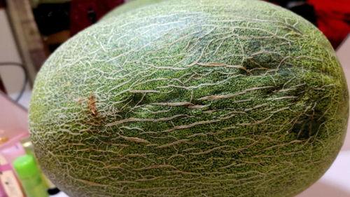 吃坏了的哈密瓜手变黄了,警惕夏日水果陷阱