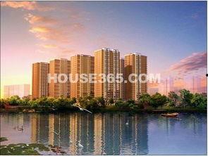 帝景湾吃瓜,一场吃瓜盛宴背后的真相揭秘