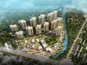 帝景湾吃瓜,一场吃瓜盛宴背后的真相揭秘