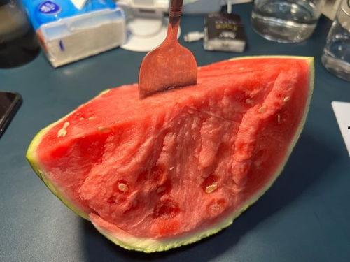 吃瓜种子拉肚子,揭秘拉肚子的真相