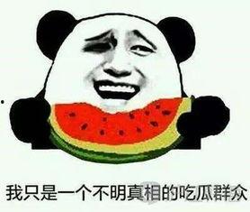 嗑瓜群众吃瓜群众怎么说,嗑瓜群众与吃瓜群众的趣味解读