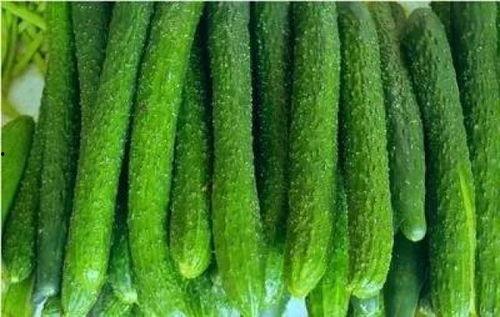 金昌人吃瓜,探寻当地独特的吃瓜文化