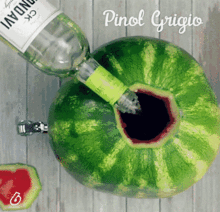 吃瓜ins号,带你领略网络八卦的魅力