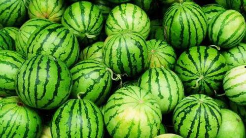 荆职吃瓜,揭秘“吃瓜”背后的故事