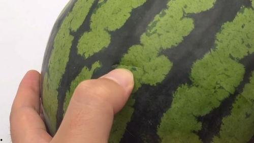 五点吃瓜,揭秘娱乐圈那些不为人知的幕后故事