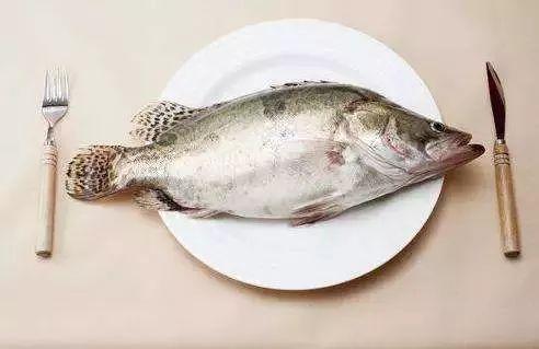 天天吃瓜吃鱼视频,揭秘网红美食背后的故事