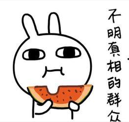 上班吃瓜的搞笑瞬间,笑料百出！