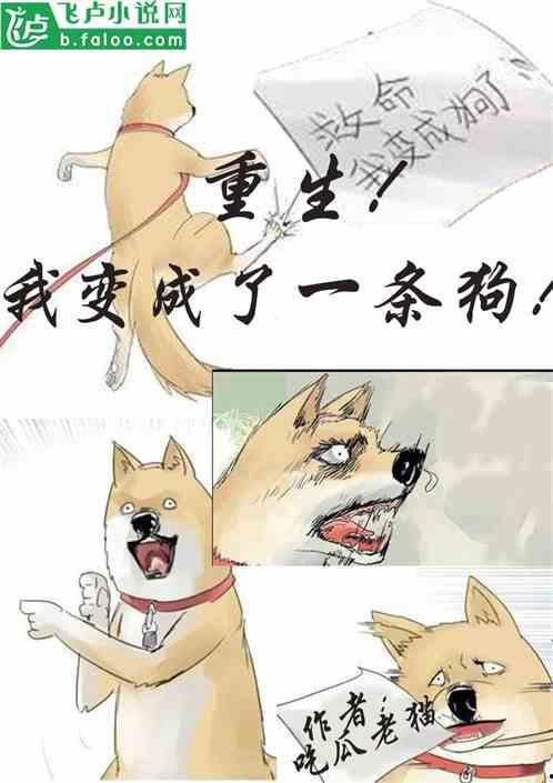 无害吃瓜的小说,一场无害吃瓜的悬疑之旅