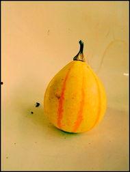 新沂哪里可以吃瓜,探寻当地特色瓜果美食之旅