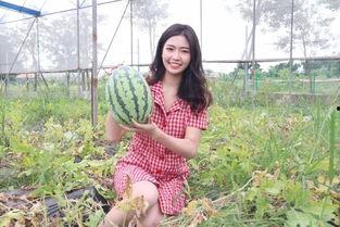 夏天的味道吃瓜视频