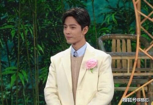 肖战晚会吃瓜,揭秘幕后故事与精彩瞬间