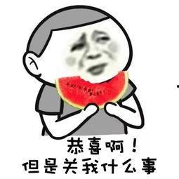 吃瓜不忘屙瓜人解释,揭秘网络舆论场中的“屙瓜人”现象