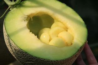 吃瓜预定,揭秘年度热门事件背后的真相