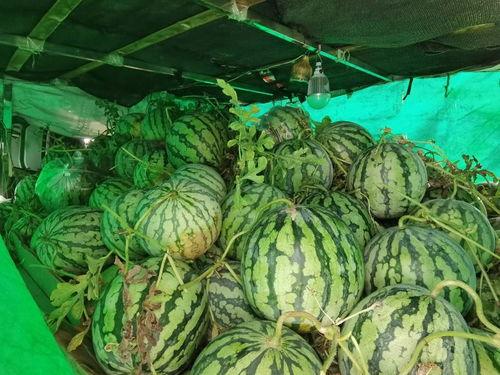 吃瓜信阳,吃瓜群众的美食之旅