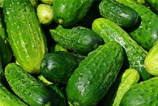 梦梦被吃瓜,揭秘娱乐圈背后的惊人真相