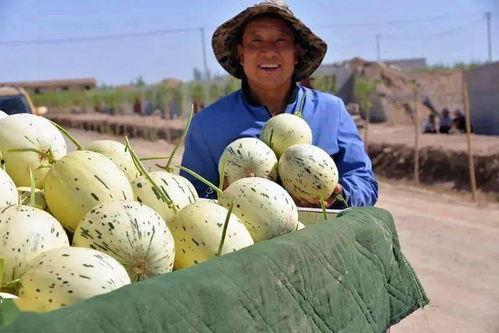 太和县盲人吃瓜,感受生活美好，共享人间烟火