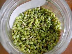 蒙阴棉纺吃瓜,吃瓜群众见证的纺织传奇