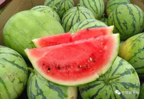 今天也是吃瓜微,揭秘娱乐圈最新热点事件