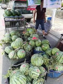 安平外卖吃瓜事件,一场网络舆论的风暴与反思