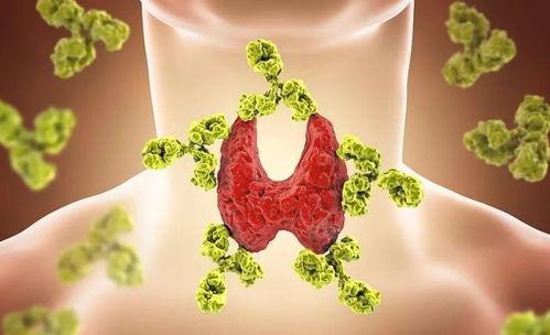 甲状腺可以吃瓜,瓜类美食的适量享用之道