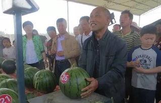 吃瓜黄人,网络热词背后的文化现象与心理解读