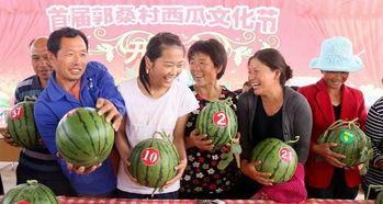 吃瓜黄人,网络热词背后的文化现象与心理解读