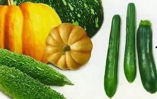 吃瓜在线吃瓜,畅享娱乐盛宴