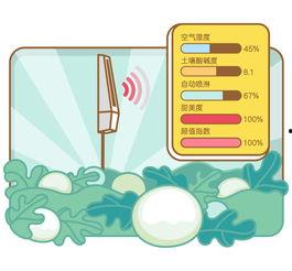 回家吃瓜的文案,解锁夏日清凉新姿势