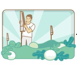 回家吃瓜的文案,解锁夏日清凉新姿势