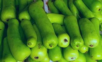 长水痘可以吃蒲瓜,长水痘期间的食疗之道