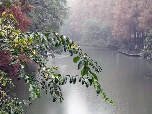 冬天吃瓜诗句,冬日瓜香诗意浓